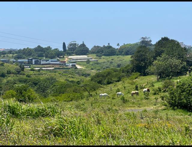 16,870M² VACANT LAND FOR SALE IN SALT ROCK